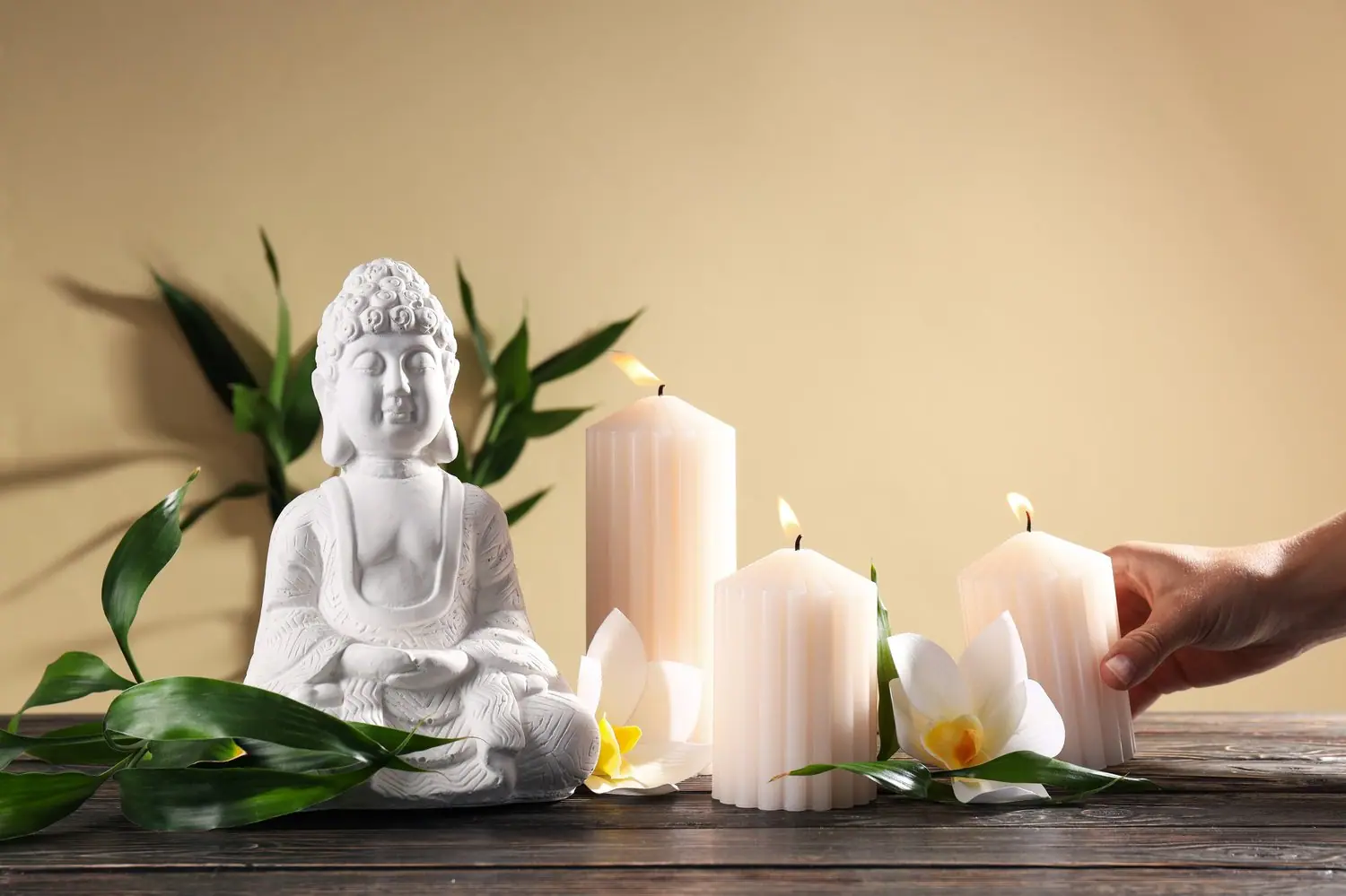 Feng Shui w projektowaniu wnętrz - podstawowe zasady